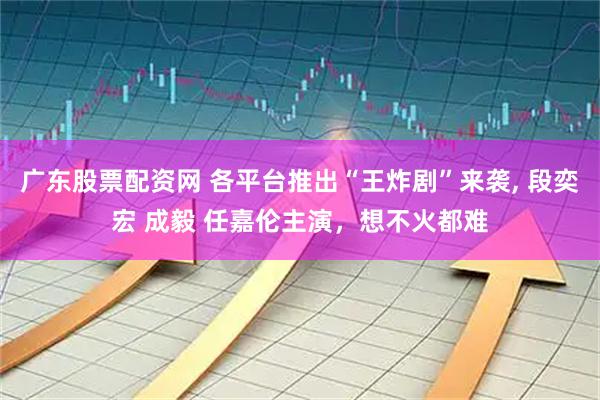 广东股票配资网 各平台推出“王炸剧”来袭, 段奕宏 成毅 任嘉伦主演，想不火都难