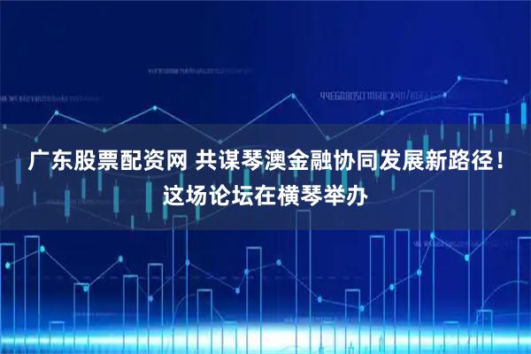 广东股票配资网 共谋琴澳金融协同发展新路径！这场论坛在横琴举办