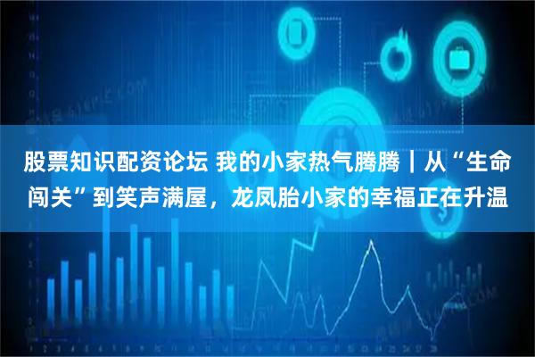 股票知识配资论坛 我的小家热气腾腾｜从“生命闯关”到笑声满屋，龙凤胎小家的幸福正在升温