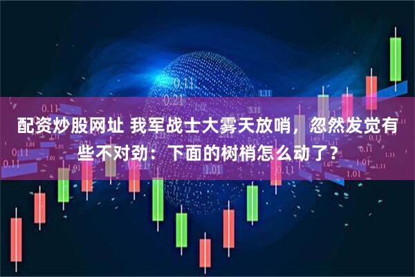 配资炒股网址 我军战士大雾天放哨，忽然发觉有些不对劲：下面的树梢怎么动了？