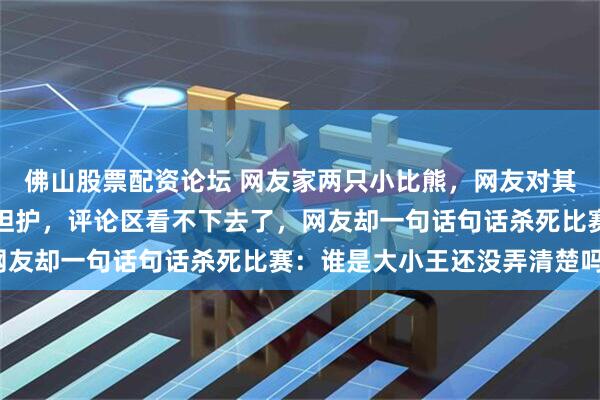 佛山股票配资论坛 网友家两只小比熊，网友对其中一只偏心非常，处处袒护，评论区看不下去了，网友却一句话句话杀死比赛：谁是大小王还没弄清楚吗？