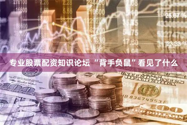 专业股票配资知识论坛 “背手负鼠”看见了什么